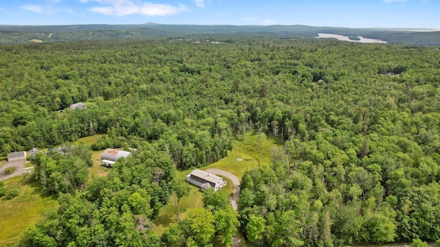 407 Central St, Bucksport, ME 04416 - photo 10