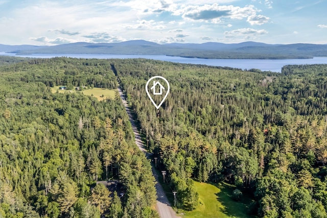 642 Mingo Loop Rd, Rangeley, ME 04970 - view of property location featuring a heavily wooded area and a water and mountain view