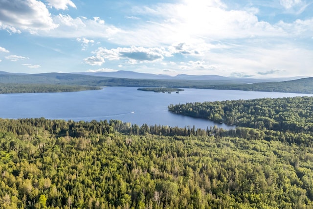 642 Mingo Loop Rd, Rangeley, ME 04970 - water view featuring a mountain backdrop and a forest