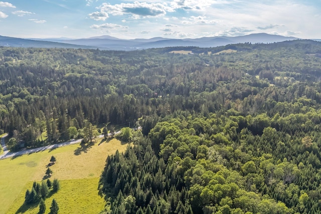 642 Mingo Loop Rd, Rangeley, ME 04970 - aerial view of a forest