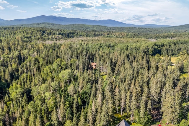 642 Mingo Loop Rd, Rangeley, ME 04970 - view of mountain backdrop with a heavily wooded area