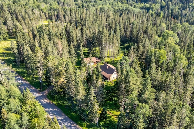 642 Mingo Loop Rd, Rangeley, ME 04970 - view of subject property featuring a heavily wooded area