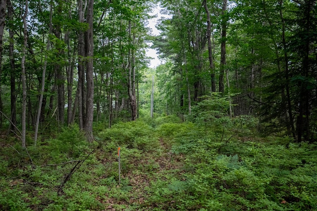 0 Wildes District Rd, Kennebunkport, ME 04046 - photo 6