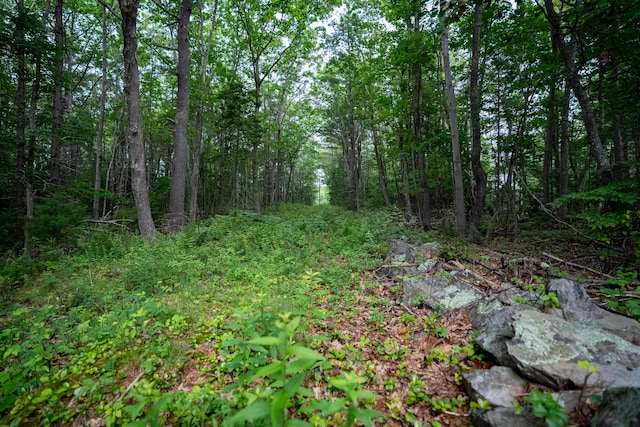 0 Wildes District Rd, Kennebunkport, ME 04046 - photo 8