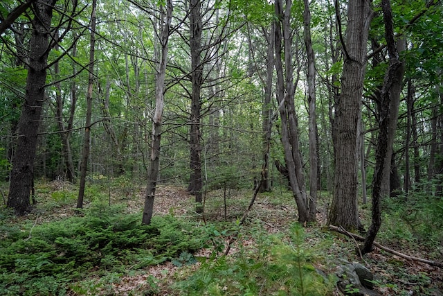 0 Wildes District Rd, Kennebunkport, ME 04046 - photo 11
