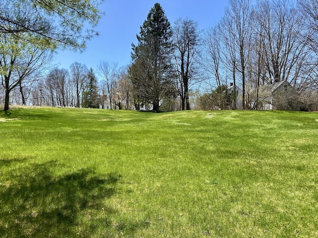 15 Winter St, Topsham, ME 04086 - view of grassy yard