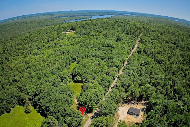 664 Bridgton Rd, Sweden, ME 04040 - photo 39