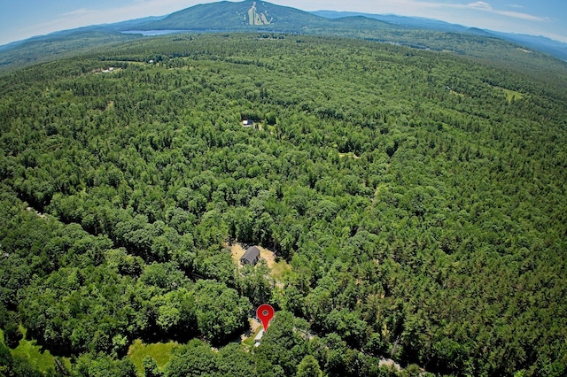 664 Bridgton Rd, Sweden, ME 04040 - photo 40