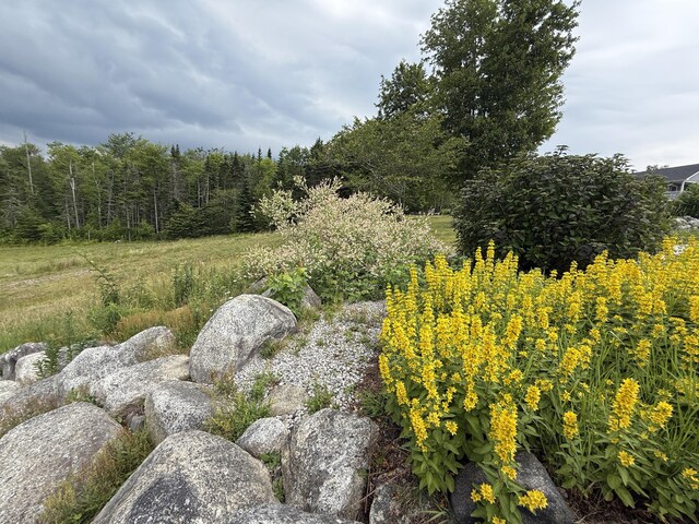 10 Overlook Dr, Stockton Springs, ME 04981 - photo 34