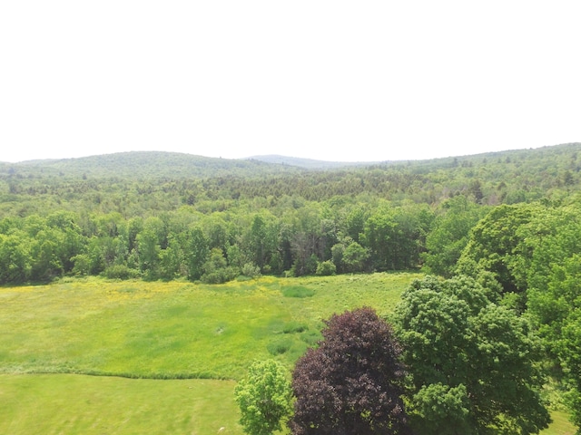 1039 Belfast Rd, Knox, ME 04986 - view of mountain backdrop with a heavily wooded area