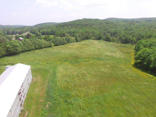 1039 Belfast Rd, Knox, ME 04986 - drone / aerial view of a forest