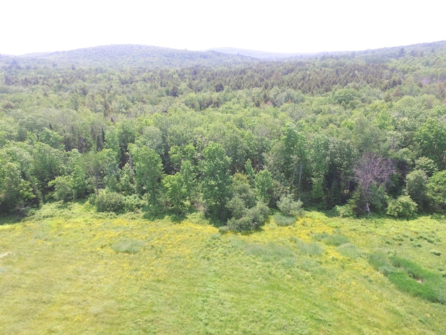 1039 Belfast Rd, Knox, ME 04986 - aerial view of a forest and a mountain backdrop