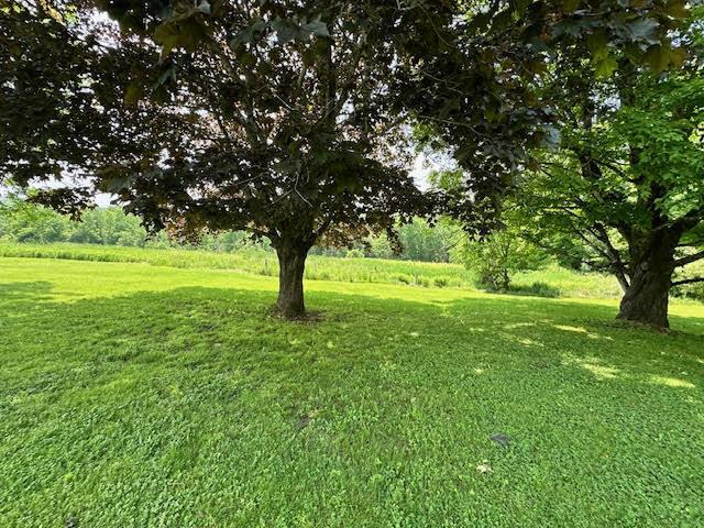 1039 Belfast Rd, Knox, ME 04986 - view of green lawn