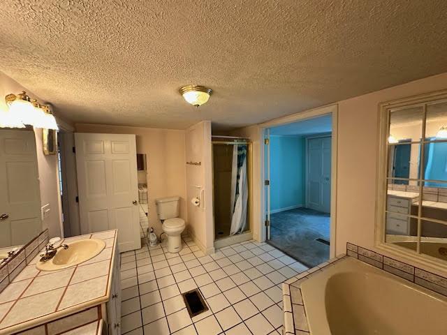 1039 Belfast Rd, Knox, ME 04986 - bathroom featuring vanity, a stall shower, a bath, tile patterned flooring, and a textured ceiling