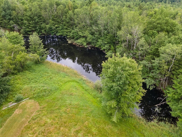 29 Folly Farm Rd, Lebanon, ME 04027 - drone / aerial view of a forest and a nearby body of water