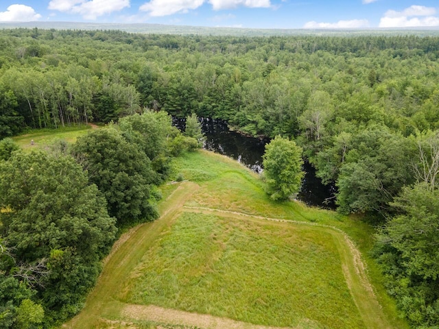 29 Folly Farm Rd, Lebanon, ME 04027 - aerial view of a heavily wooded area and a large body of water