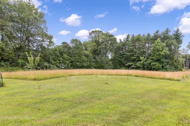 29 Folly Farm Rd, Lebanon, ME 04027 - view of grassy yard