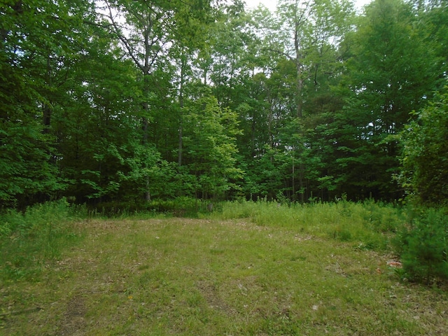 LOT40 Snow Pond Rd, Oakland, ME 04963 - photo 3