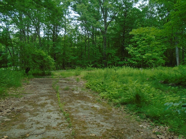 LOT40 Snow Pond Rd, Oakland, ME 04963 - photo 4