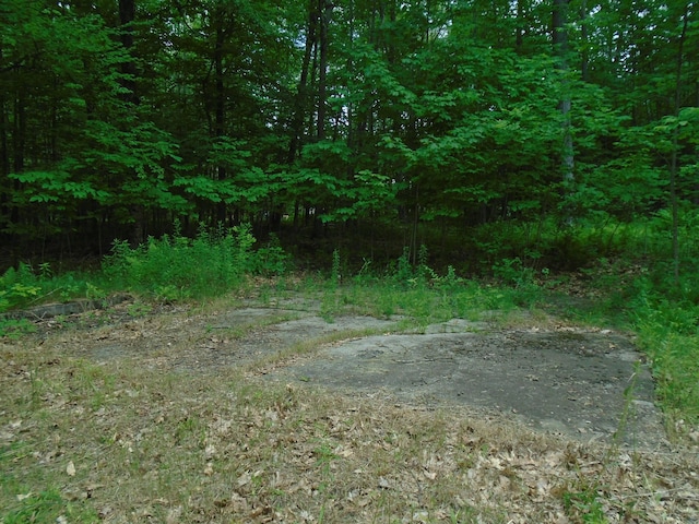 LOT40 Snow Pond Rd, Oakland, ME 04963 - photo 6