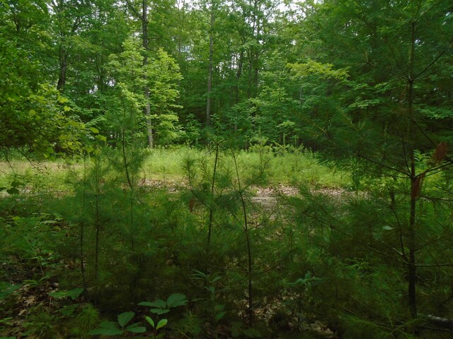 LOT40 Snow Pond Rd, Oakland, ME 04963 - photo 8