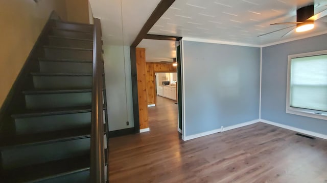 236 Birch St, Bangor, ME 04401 - stairs with wood finished floors, ceiling fan, and wood walls