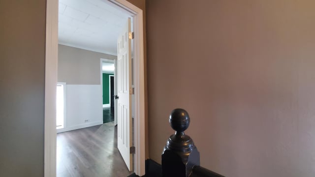 236 Birch St, Bangor, ME 04401 - hall with wood finished floors and ornamental molding