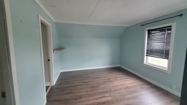 236 Birch St, Bangor, ME 04401 - bonus room with wood finished floors and lofted ceiling