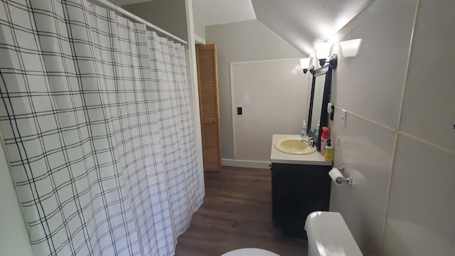 236 Birch St, Bangor, ME 04401 - full bath featuring vanity, wood finished floors, and a shower with shower curtain