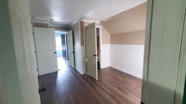 236 Birch St, Bangor, ME 04401 - hall with dark wood-style floors and lofted ceiling