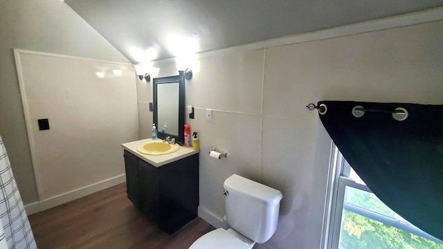 236 Birch St, Bangor, ME 04401 - bathroom featuring vanity, vaulted ceiling, and wood finished floors