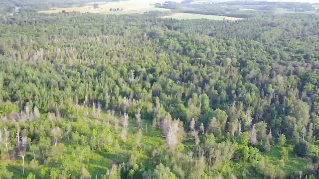 297 Washburn Rd, Presque Isle, ME 04769 - photo 1