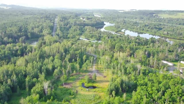 297 Washburn Rd, Presque Isle, ME 04769 - photo 3