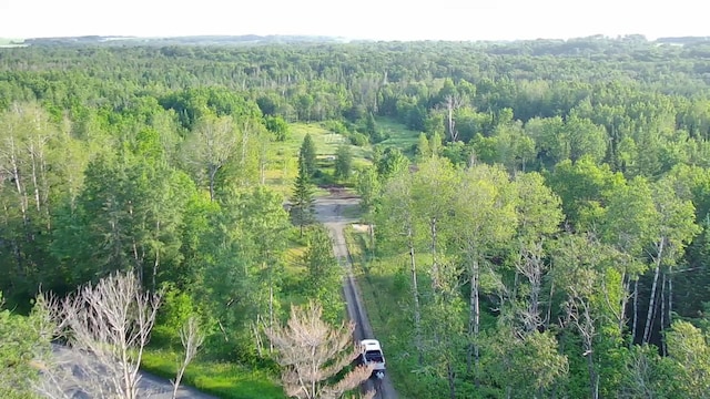 297 Washburn Rd, Presque Isle, ME 04769 - photo 4