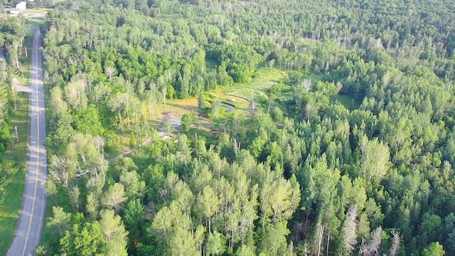 297 Washburn Rd, Presque Isle, ME 04769 - photo 5