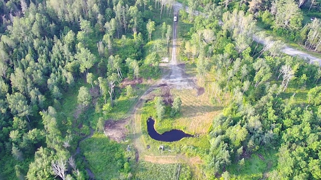 297 Washburn Rd, Presque Isle, ME 04769 - photo 9