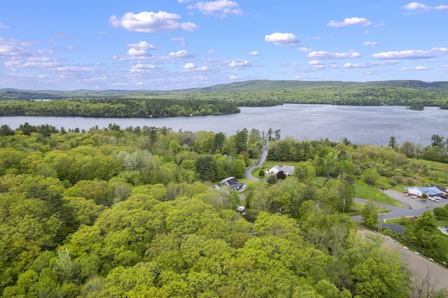 14 Lakeshore Dr, Belgrade, ME 04918 - bird's eye view of a heavily wooded area and a nearby body of water
