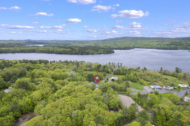 14 Lakeshore Dr, Belgrade, ME 04918 - aerial view of property's location featuring a forest