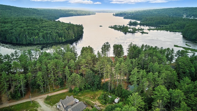 11 Ridgewood Dr, Lebanon, ME 04027 - aerial overview of property's location featuring a forest and a nearby body of water