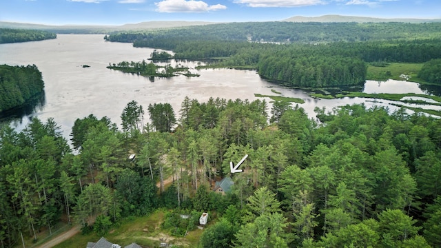 11 Ridgewood Dr, Lebanon, ME 04027 - aerial view of property's location with a heavily wooded area and a water and mountain view