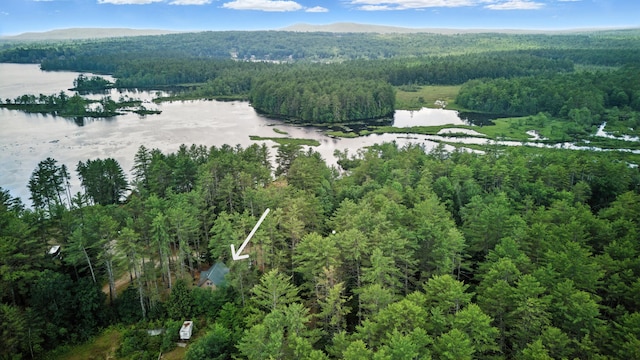 11 Ridgewood Dr, Lebanon, ME 04027 - view of property location with a nearby body of water