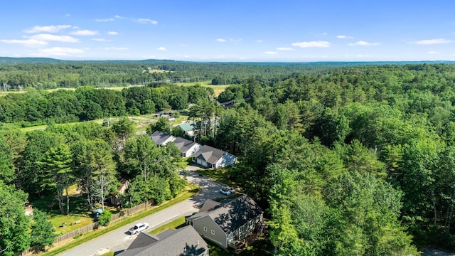 14 Conifer Dr Unit 7, Windham, ME 04062 - photo 35
