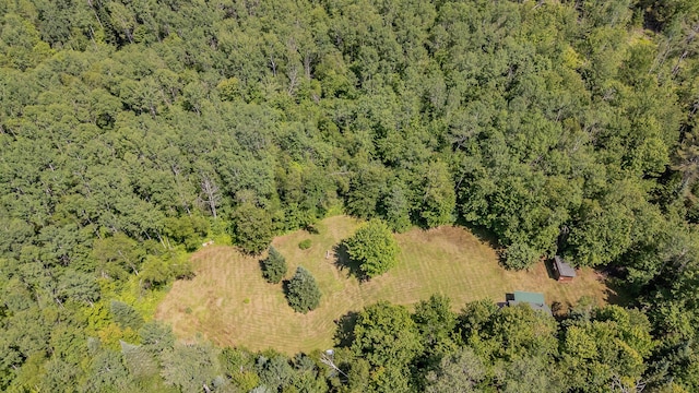 LOT4 Brimstone Rd, Lagrange, ME 04453 - drone / aerial view of a heavily wooded area
