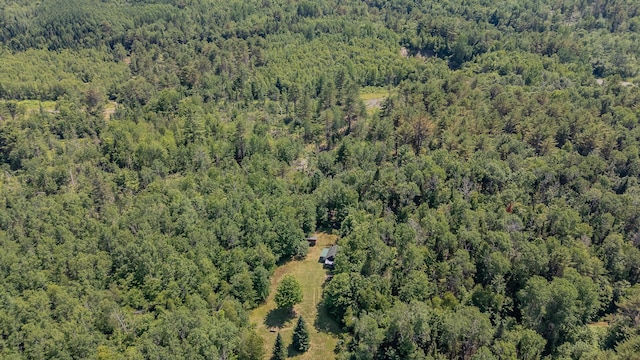 LOT4 Brimstone Rd, Lagrange, ME 04453 - view of property location with a forest