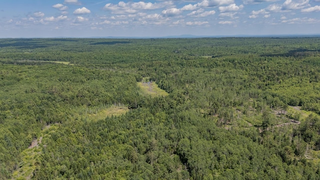 LOT4 Brimstone Rd, Lagrange, ME 04453 - bird's eye view of a heavily wooded area
