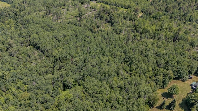 LOT4 Brimstone Rd, Lagrange, ME 04453 - view of property location featuring a heavily wooded area
