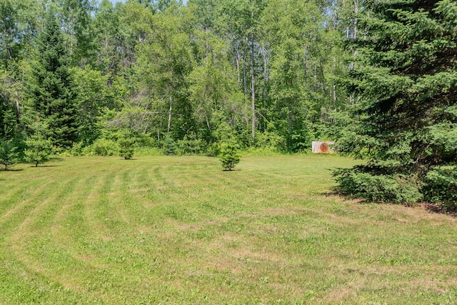 LOT4 Brimstone Rd, Lagrange, ME 04453 - view of green lawn with a forest view