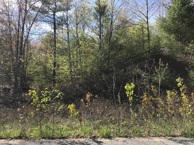 LOT12 Prokey Dr, Limerick, ME 04048