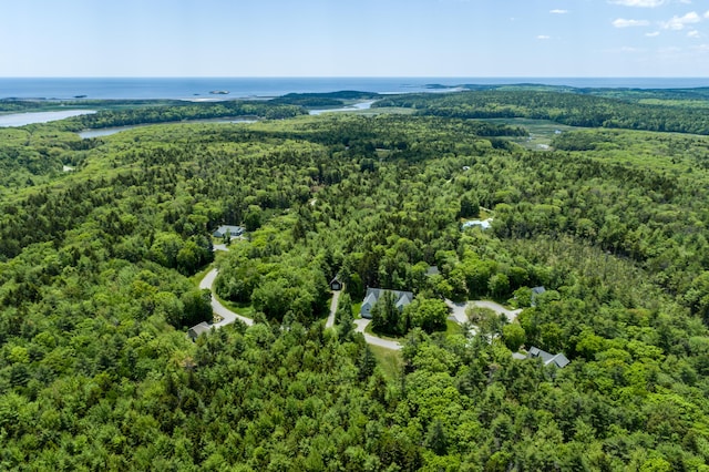 LOT29 Sagamore Dr Unit 29, Tbb, Phippsburg, ME 04562 - aerial view of a heavily wooded area and a nearby body of water