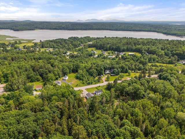 24 Blackswoods Rd, Franklin, ME 04634 - bird's eye view of a forest and a water and mountain view